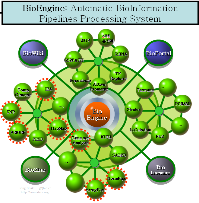 Bioengine_jong_bhak_contents_png_20071106.png