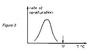 Levinthal_figure3.jpg