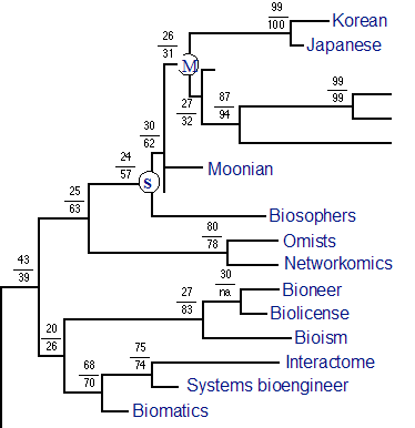 Phylogram_example_1.gif