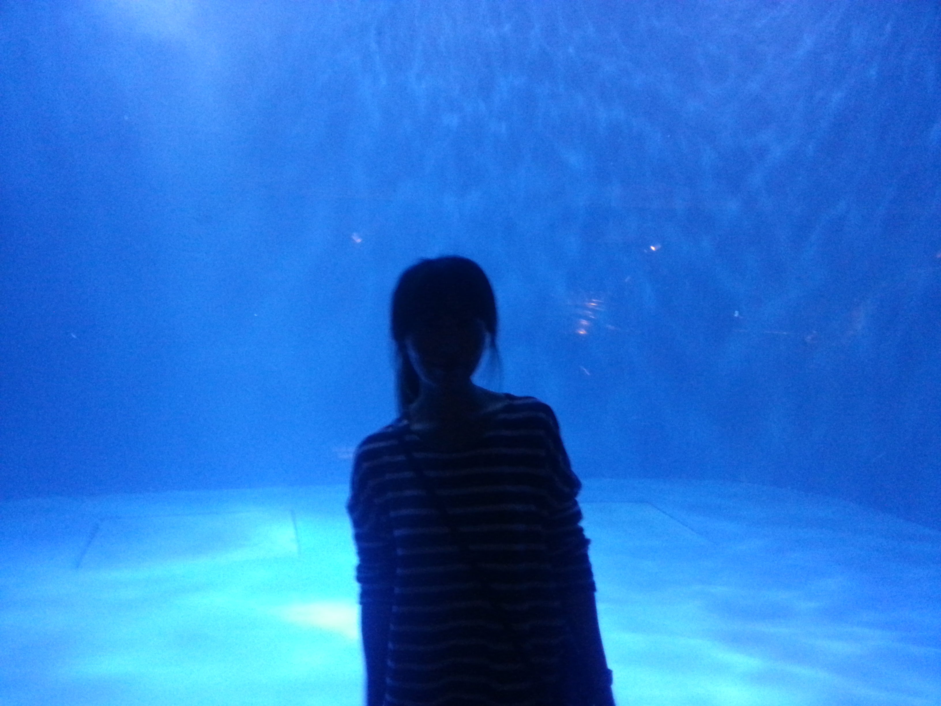 20141007_140115.jpg