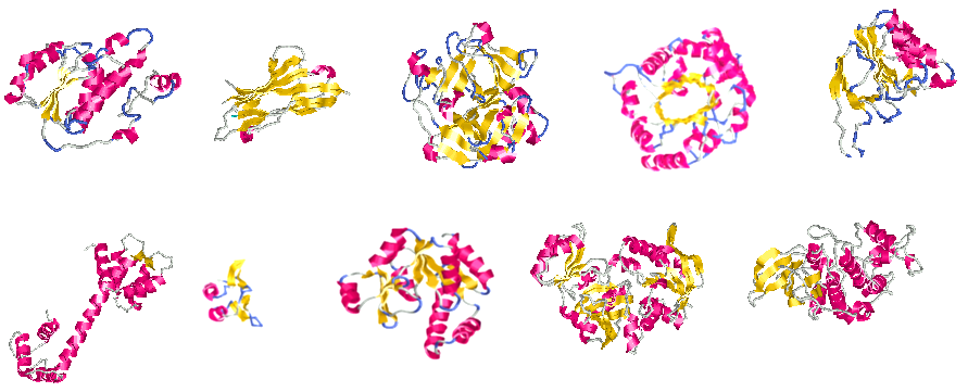 Protein_domains_Bioinformatics_book_20060304.png