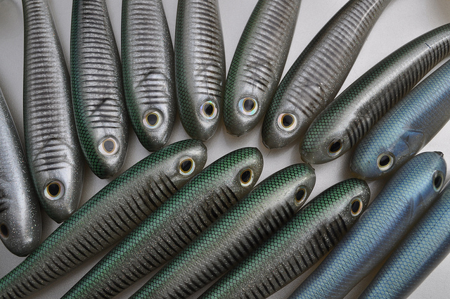 Deep_Sea_Fishing_1802.jpg