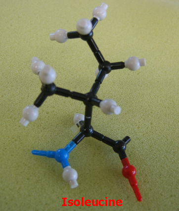 Isoleucine_jong_small.png