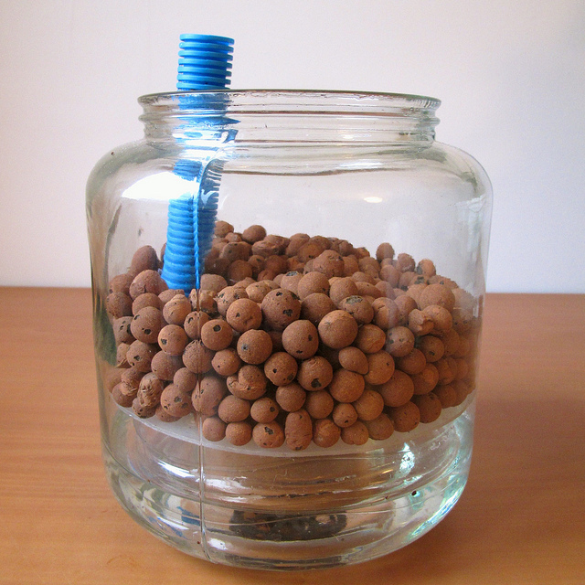 Grow_Box_5398.jpg