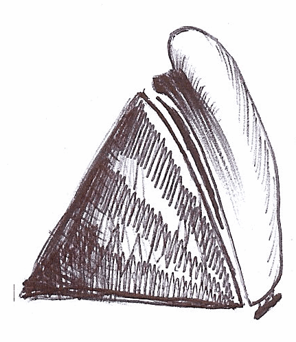 Icerberg_and_ship_20060927.gif
