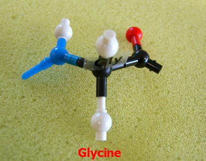 Glycine_jong_small.png