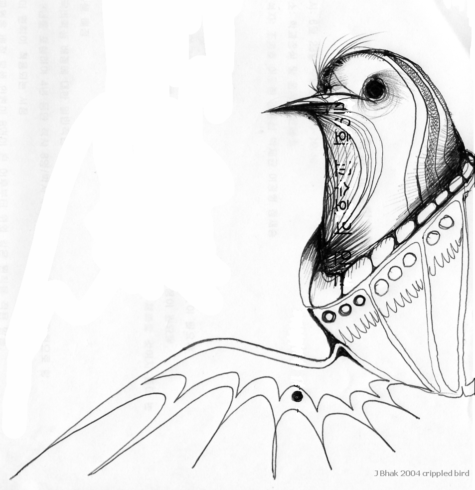 Bird1_1_20050226_compact.gif