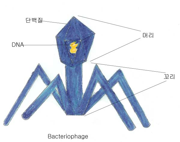 V1_복사.jpg