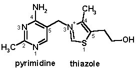 티아민.gif