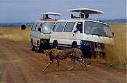 Cheap_Travel_Insurance_2206.jpg