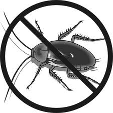 How_to_Get_Rid_of_Fleas_1428.jpg