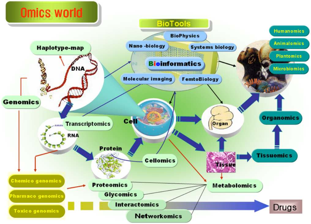 Omics_world_diagram_jongbhak_2005.png