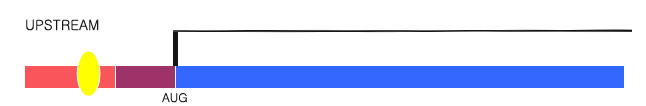 Upstream.jpg