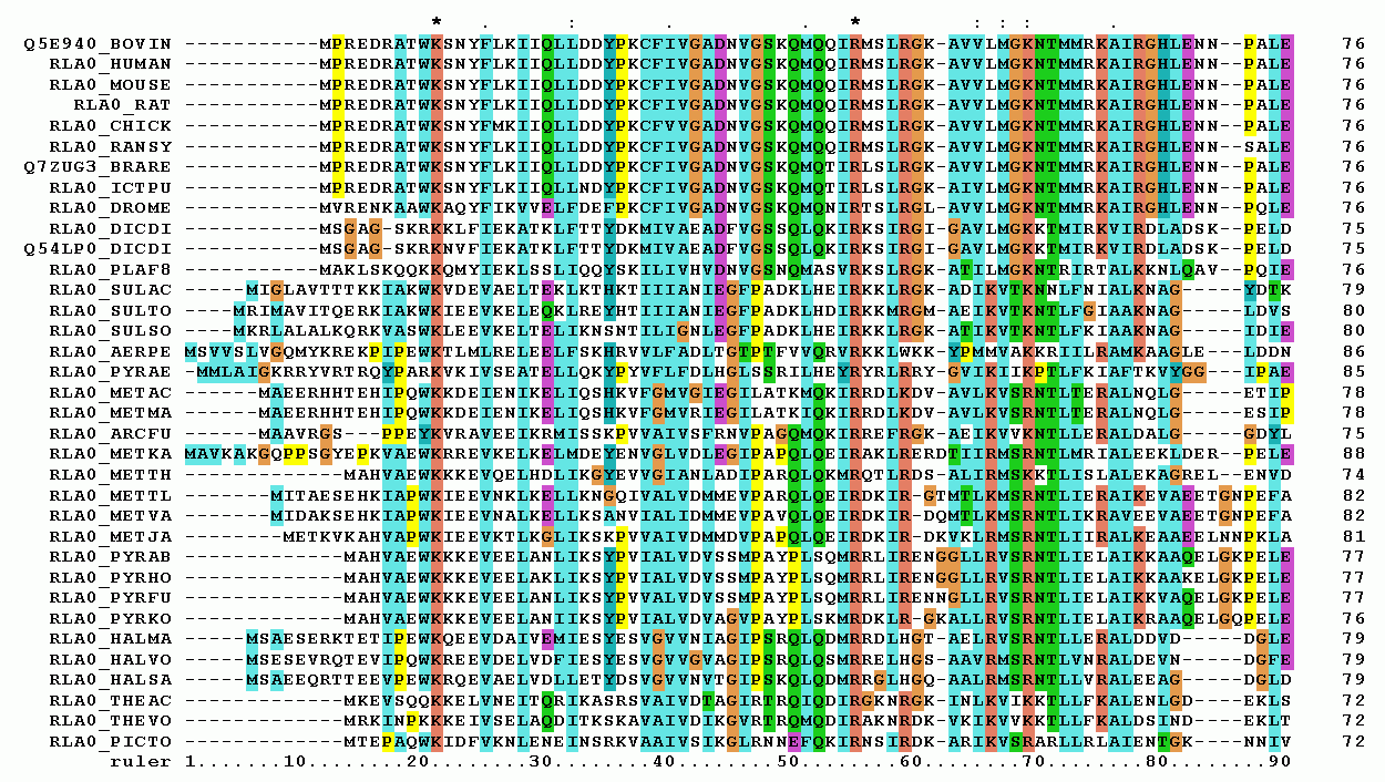 RPLP0_90_ClustalW_aln.gif