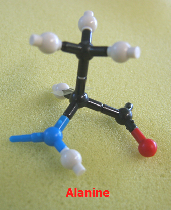 Alanine_jong_small.png