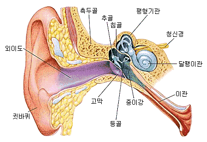 귀구조.gif
