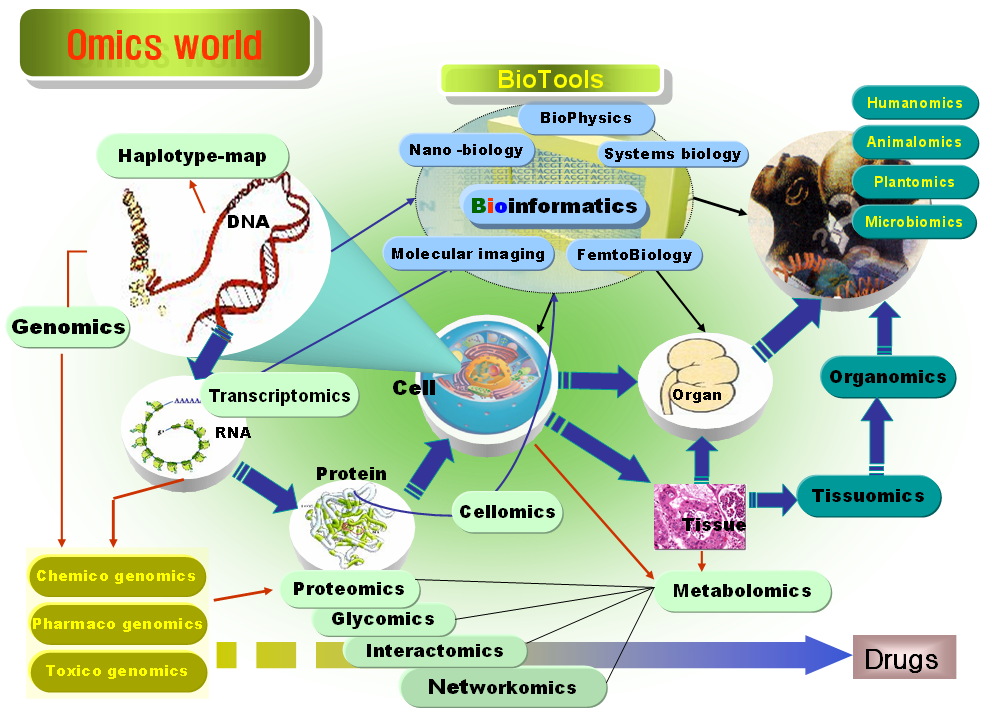 Omics_world_jong_20060305.png