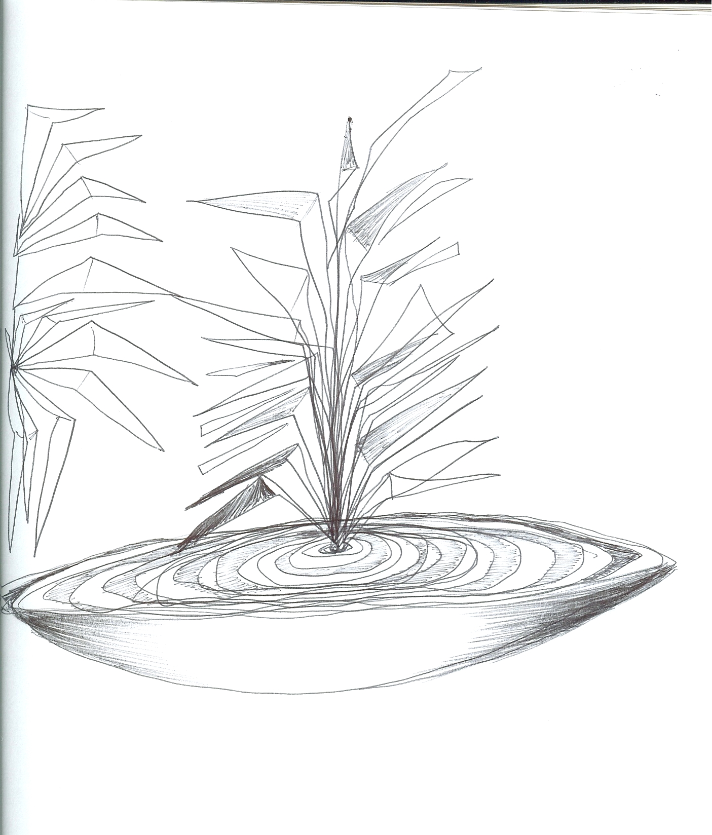 Dish_and_sequence_flower_20090506.jpg