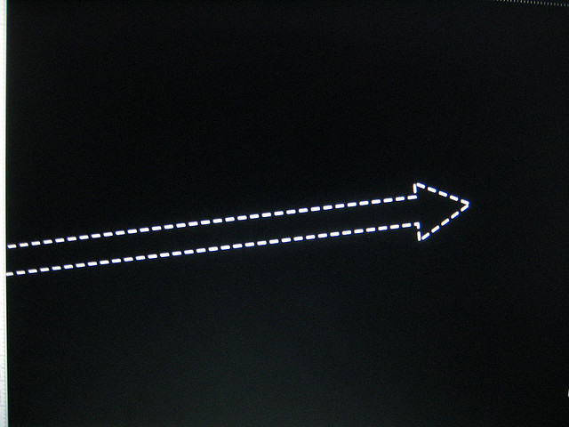 Zing_4162.jpg