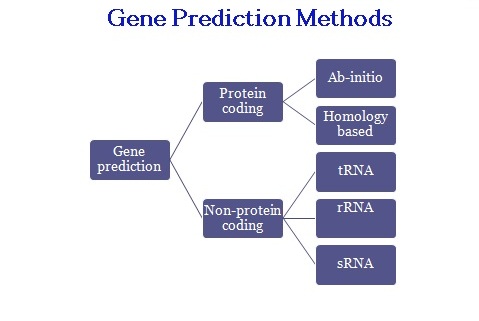 GenePredictionMethod.jpg