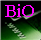 Www_image_sm5.png