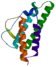Cytokine.gif