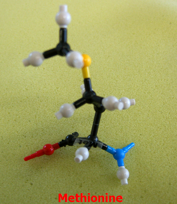 Methionine_jong_small.png