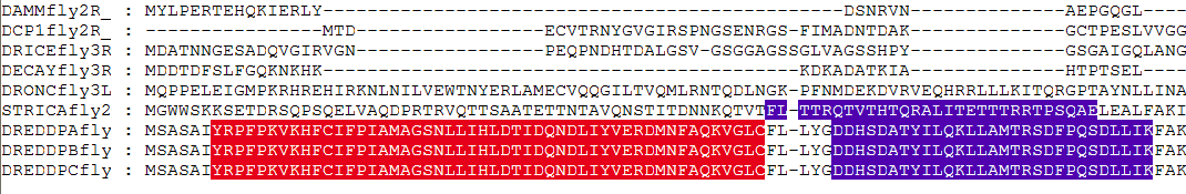 Caspase-motif-alignment.png