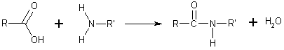 Amide_react.png