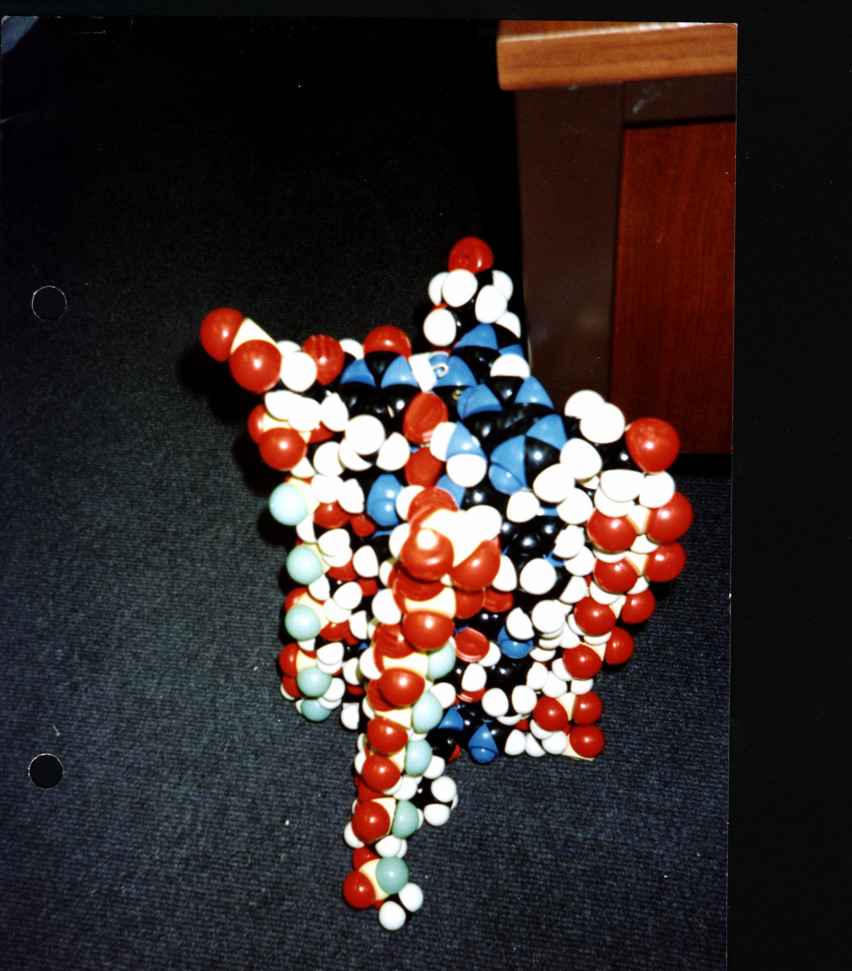 Dna_model2.jpg