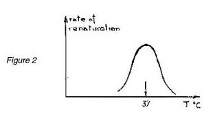Levinthal_figure2.jpg