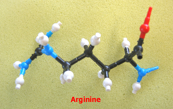 Arginine_jong_small.png