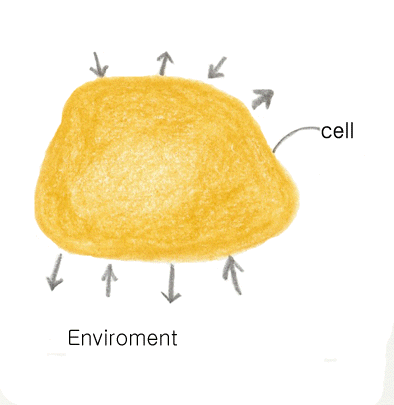 1.metabolism.gif