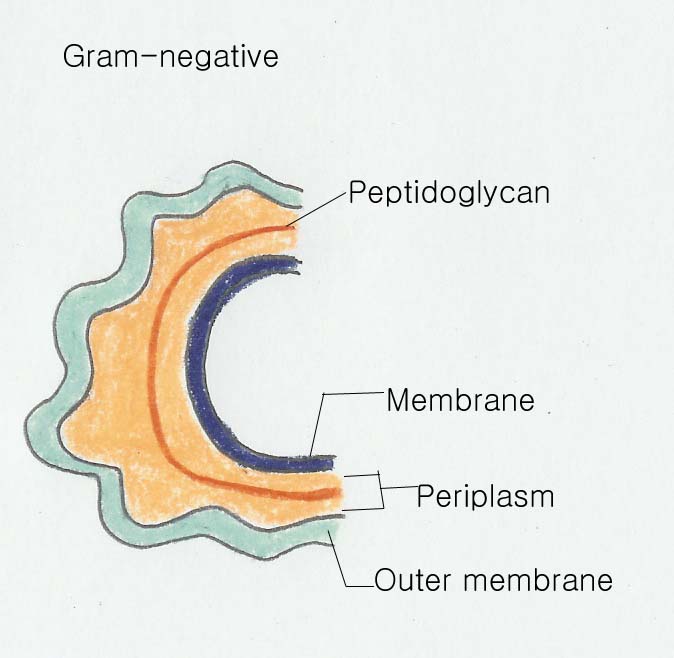 Gram-n_복사.jpg