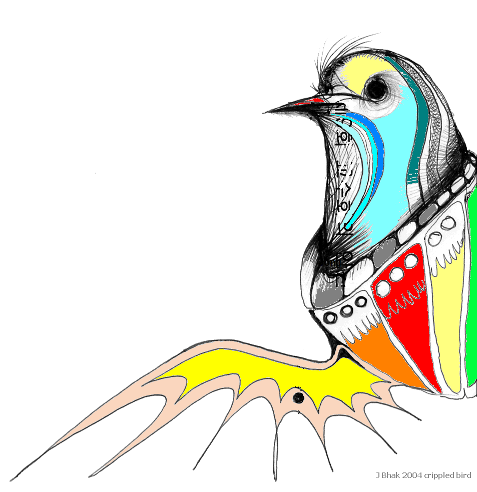 Bird1_2_20050226_compact.png