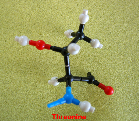 Threonine_jong_small.png