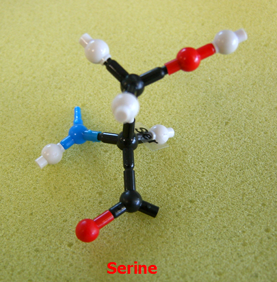 Serine_jong_small.png