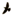 Favicon_trans.gif