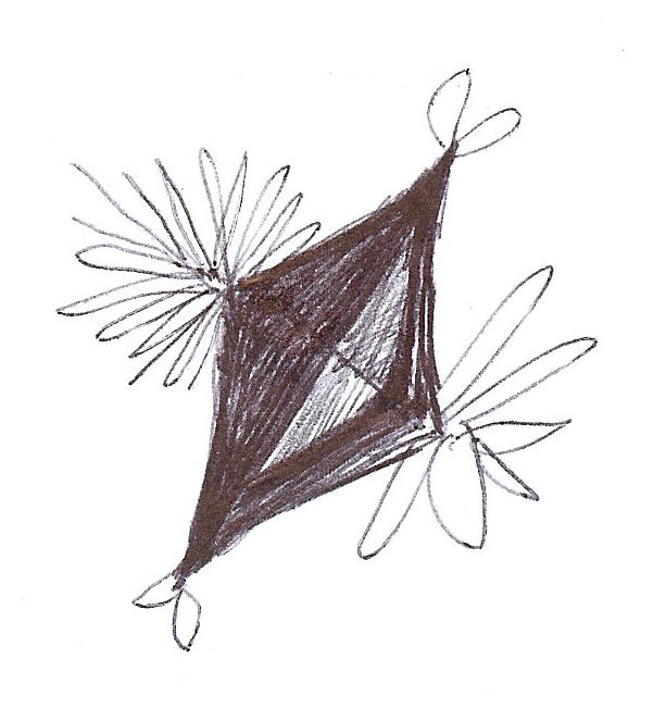 Fly_jongbhak_20060928.jpg