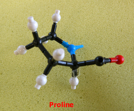 Proline_jong_small.png