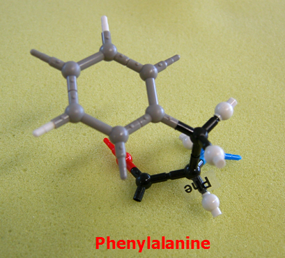 Phenylalanine_jong_small.png