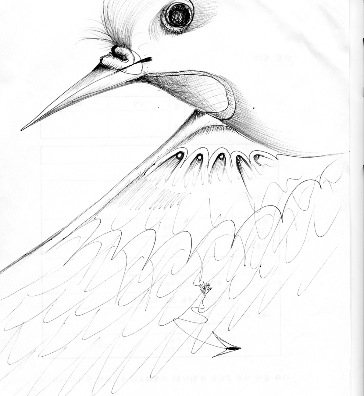 Bird_doodling_20050311.png