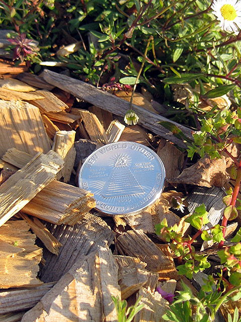 Silver_coin_silver_bullion_3612.jpg